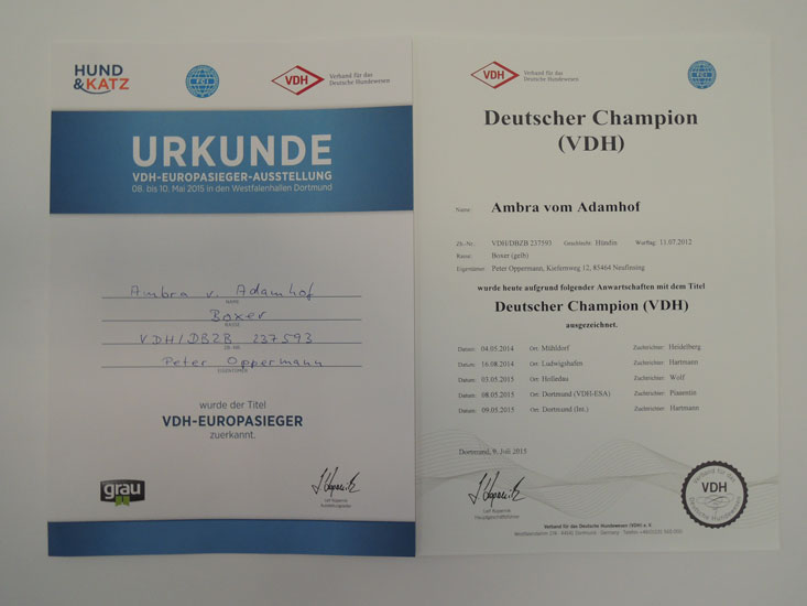 Auszeichnung