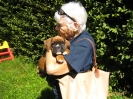 Aster mit Frauchen