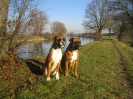Ambra + Janka