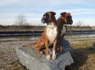 Ambra + Janka