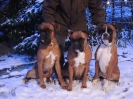 Aaron, Janka, Ambra