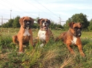 Beppone, Ambra, Janka