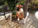 Divas Platz Nr.1