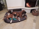 Ambra, Diva, Janka