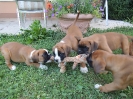 Diva, Don, Dux, Donna