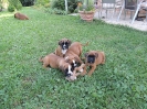 Don, Donna, Diva, Dux