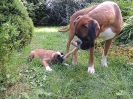Diva + Ambra