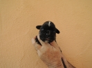 Eddi, 14 Tage alt