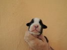 Egon, 14 Tage alt