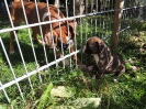 Diva & Egon, 5 Wochen