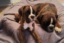 Illy und Mama Finja