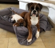 Mutter mit Tochter