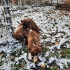 Spiel im Schnee