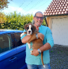 Kuno in treuen Händen