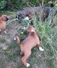 Finja mit Kleo & Kuno