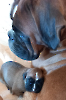 Holly und Mando 