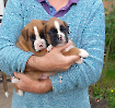 Mero und Moritz